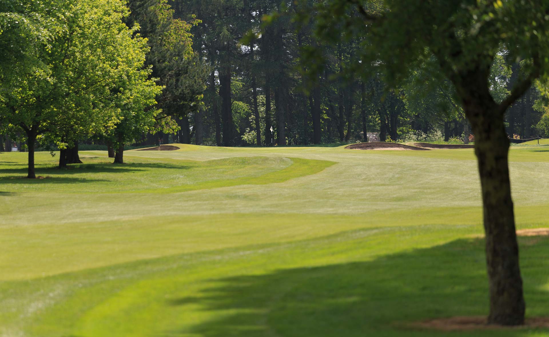 south staffordshire golf club hole 5